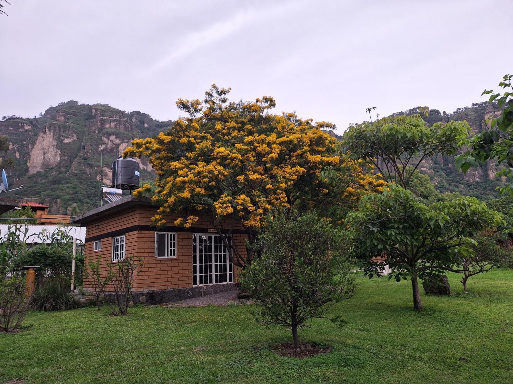 Posada Meztitla Tepoztlán Buitenkant foto